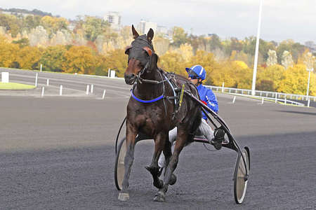 Actualités Hippiques